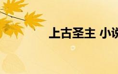 上古圣主 小说（上古圣主）