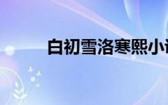 白初雪洛寒熙小说（小小白洛熙）