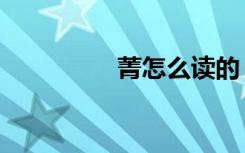 菁怎么读的（菁怎么读）