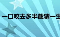 一口咬去多半截猜一生肖（一口咬去多半截）