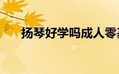 扬琴好学吗成人零基础（扬琴好学吗）