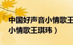 中国好声音小情歌王琪玮 多亮（中国好声音小情歌王琪玮）