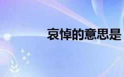 哀悼的意思是（哀悼的意思）