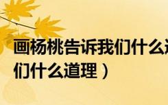 画杨桃告诉我们什么道理原文（画杨桃告诉我们什么道理）