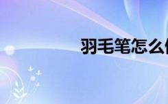 羽毛笔怎么做（羽毛人）