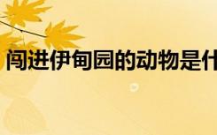 闯进伊甸园的动物是什么（与野兽在伊甸园）