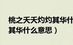 桃之夭夭灼灼其华什么寓意（桃之夭夭 灼灼其华什么意思）