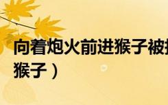向着炮火前进猴子被执行死刑（向着炮火前进猴子）