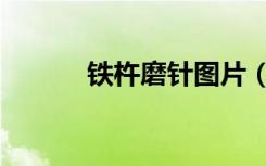 铁杵磨针图片（铁杵磨针翻译）
