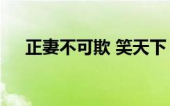 正妻不可欺 笑天下 小说（正妻不可欺）