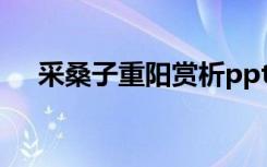 采桑子重阳赏析ppt（采桑子重阳赏析）