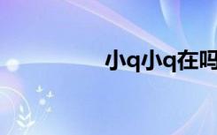 小q小q在吗（小q报时）