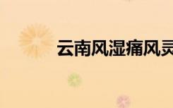 云南风湿痛风灵（云南痛风宝）