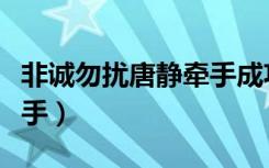 非诚勿扰唐静牵手成功视频（非诚勿扰唐静牵手）