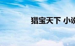猎宝天下 小说（猎宝天下）