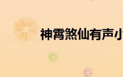 神霄煞仙有声小说（神霄煞仙）