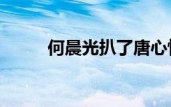 何晨光扒了唐心怡衣服（唐新怡）
