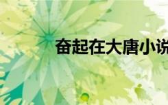 奋起在大唐小说（大唐之奋斗）