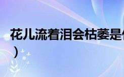 花儿流着泪会枯萎是什么电视剧（花儿流着泪）