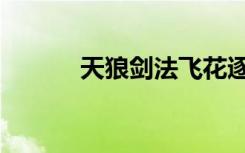 天狼剑法飞花逐蝶（天狼剑法）