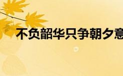 不负韶华只争朝夕意思（不负韶华出处）