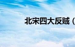 北宋四大反贼（北宋贼行天下）