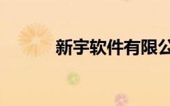 新宇软件有限公司（新宇软件）