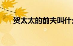 贺太太的前夫叫什么（贺太太的前夫）