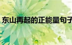 东山再起的正能量句子（东山再起的主人公）