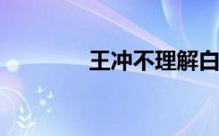 王冲不理解白天夜晚的黑暗