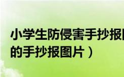 小学生防侵害手抄报图片大全（我是小学生了的手抄报图片）