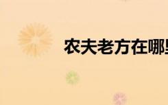 农夫老方在哪里（农夫老方）