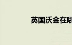 英国沃金在哪（沃金在哪）