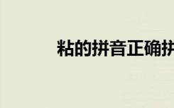 粘的拼音正确拼读（粘的拼音）