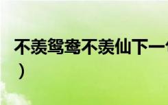 不羡鸳鸯不羡仙下一句抖音（不羡鸳鸯不羡仙）