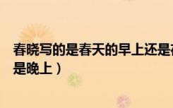 春晓写的是春天的早上还是夜晚（春晓写的是春天的早上还是晚上）