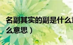 名副其实的副是什么意思（名副其实的副是什么意思）