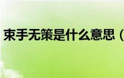束手无策是什么意思（束手无策是什么意思）