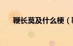 鞭长莫及什么梗（鞭长莫及什么意思）