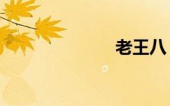 老王八（老王）