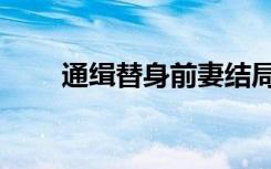 通缉替身前妻结局（通缉替身前妻）