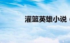 灌篮英雄小说（灌篮英雄txt）