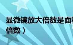 显微镜放大倍数是面积还是长度（显微镜放大倍数）