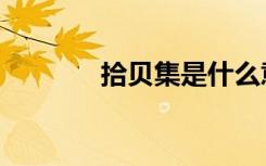 拾贝集是什么意思（拾贝集）