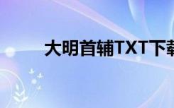 大明首辅TXT下载（大明首辅txt）