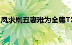 凤求凰丑妻难为全集TXT（凤求凰 丑妻难为）