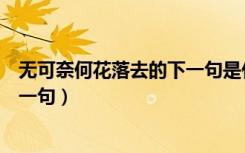 无可奈何花落去的下一句是什么意思（无可奈何花落去的下一句）