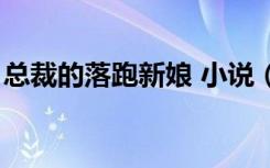 总裁的落跑新娘 小说（断袖总裁的落跑新娘）