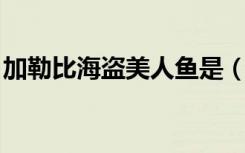 加勒比海盗美人鱼是（加勒比海盗同人 人鱼）