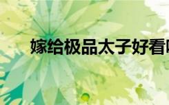 嫁给极品太子好看吗（嫁给极品太子）